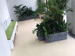 -伟伟宠物医院·瑞派猫友好医院·猫科(光谷店)