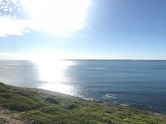 -企鹅岛
