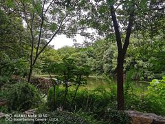 -灵谷景区
