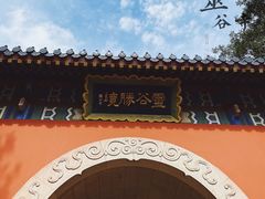 -灵谷景区