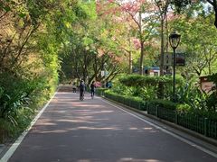 -金鸡山公园