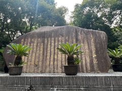 -陈家山荷花公园