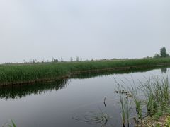 -白洋淀景区