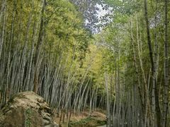 -千岛湖鱼味馆(十字街总店)