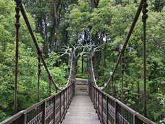 -万峰林风景区