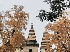 -北京石刻艺术博物馆(五塔寺)