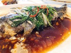 -真爱中国餐馆·年华店(朱雀大街店)