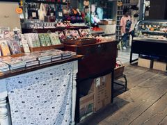 -猫咪博物馆(顶澳仔猫街店)