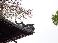 -光孝寺