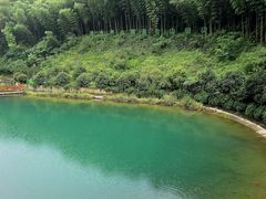 -龙坞茶村