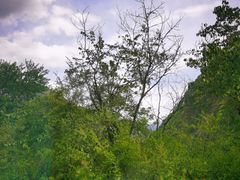 -叠溪松坪沟景区