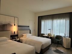 -新加坡乌节希尔顿酒店 (SG Clean)