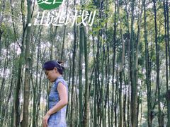 -邓小平故里