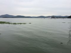 -蠡湖大桥公园