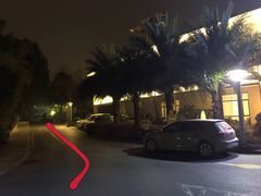 -恬阿姨庭院餐厅·生日宴
