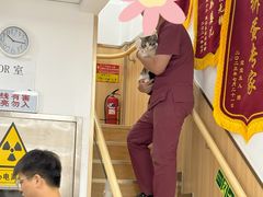 -宠福鑫康馨动物医院·骨科·眼科