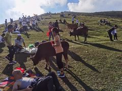 -大姆山草场