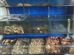 水产区-老孟拉面海鲜餐厅
