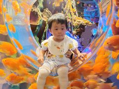 -芜湖新华联大白鲸海洋公园