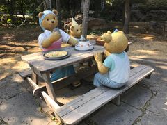 -济州岛泰迪熊博物馆