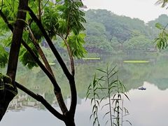 -重庆彩云湖湿地公园