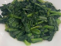 -新名仕新白玉兰餐厅