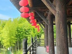 -大唐贡茶院