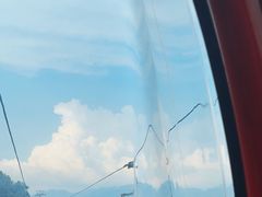 -栾川竹海野生动物园
