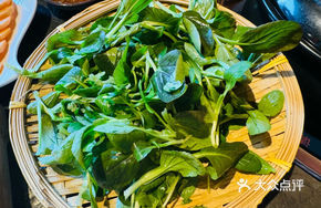 Freshly Harvested Vegetables from Our Farm