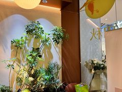 -奈雪的茶(石家庄万象城店)