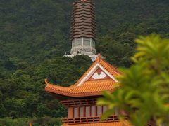 -深圳仙湖植物园