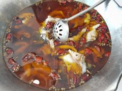 -沸腾鱼乡(知春路分店)