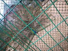 -武汉紫薇都市田园