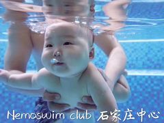 -尼莫亲子游泳NEMOSWIM(西美中心)