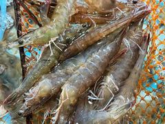 -四海蒸鲜蒸汽海鲜自助(北戴河店)