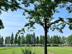 -广富林郊野公园
