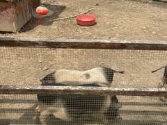 -长兴太湖图影湿地文化园