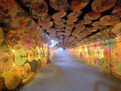 -河北村民俗体验园