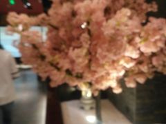 大堂-德川家日本料理(中关村寰太大厦店)