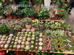 -秦美花卉(天朗·莱茵小城2期店)
