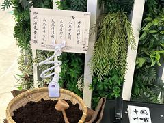 -鹊茶咖啡•新中式(深圳首店)