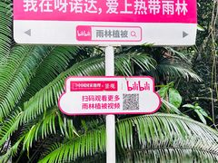 -呀诺达热带雨林