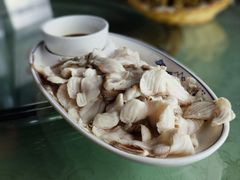 鲟鱼~过江龙-天源渔港农庄