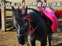 -山丹皇家马场