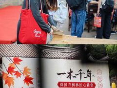 -宁波市保国寺古建筑博物馆