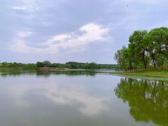 -东郊湿地公园