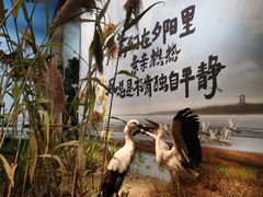 -中国湿地博物馆