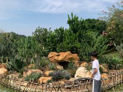 -东莞植物园