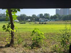 -268童话露营农场·烧烤·团建