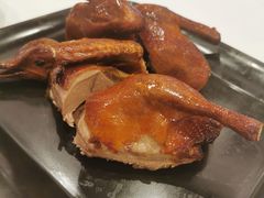 红烧乳鸽-粤珍轩·家宴·广式茶点(新城广场店)
